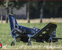 TSR Watermark - 0473